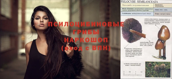 каннабис Баксан