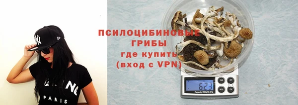 мяу мяу мука Новокубанск