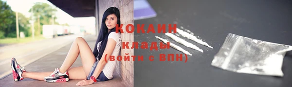 дмт Новозыбков