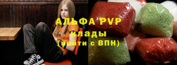 ПСИЛОЦИБИНОВЫЕ ГРИБЫ Балахна